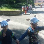 phoca_thumb_m_mdd zajici 47 Fotogalerie
